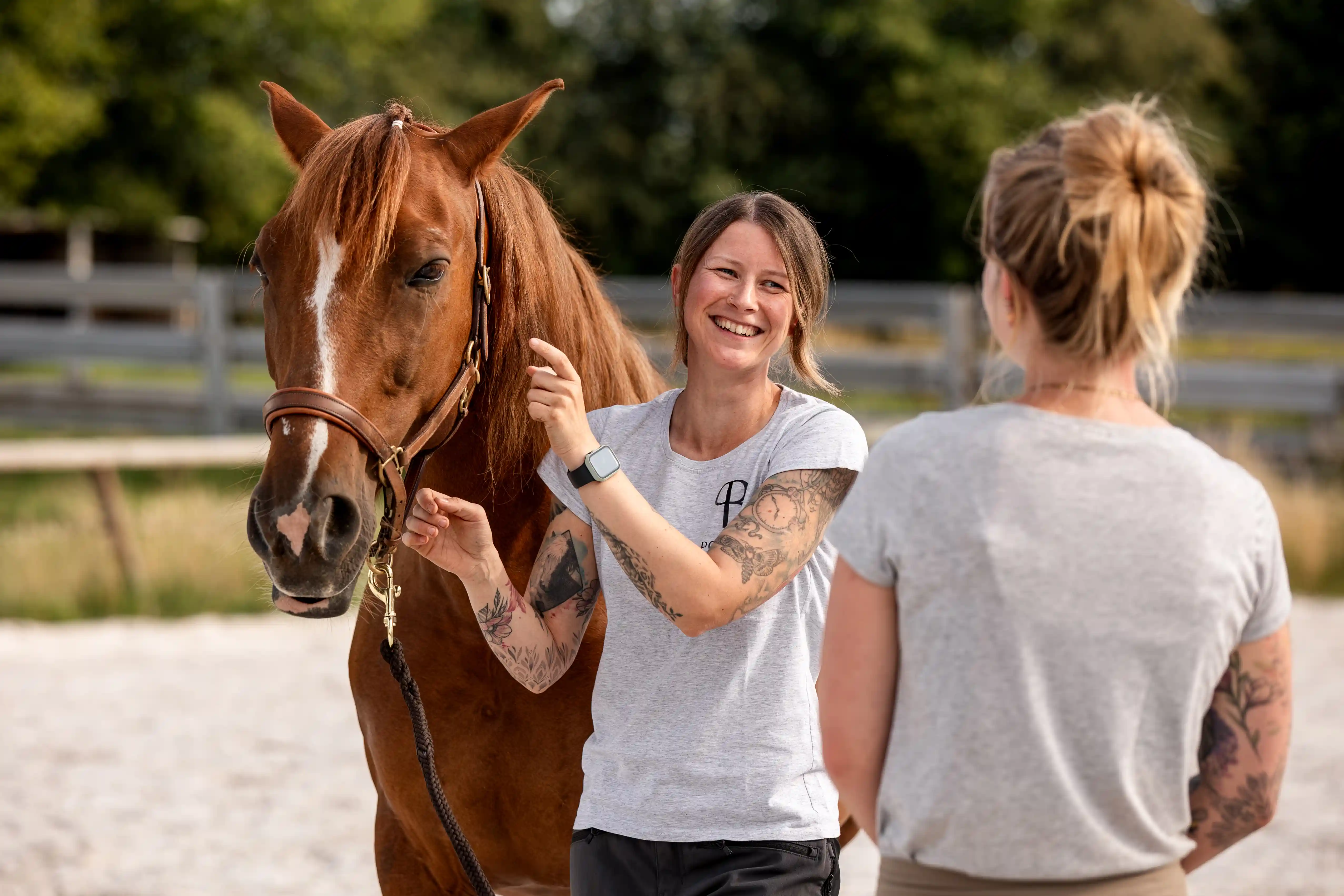 Willkommen bei Pony's Balance