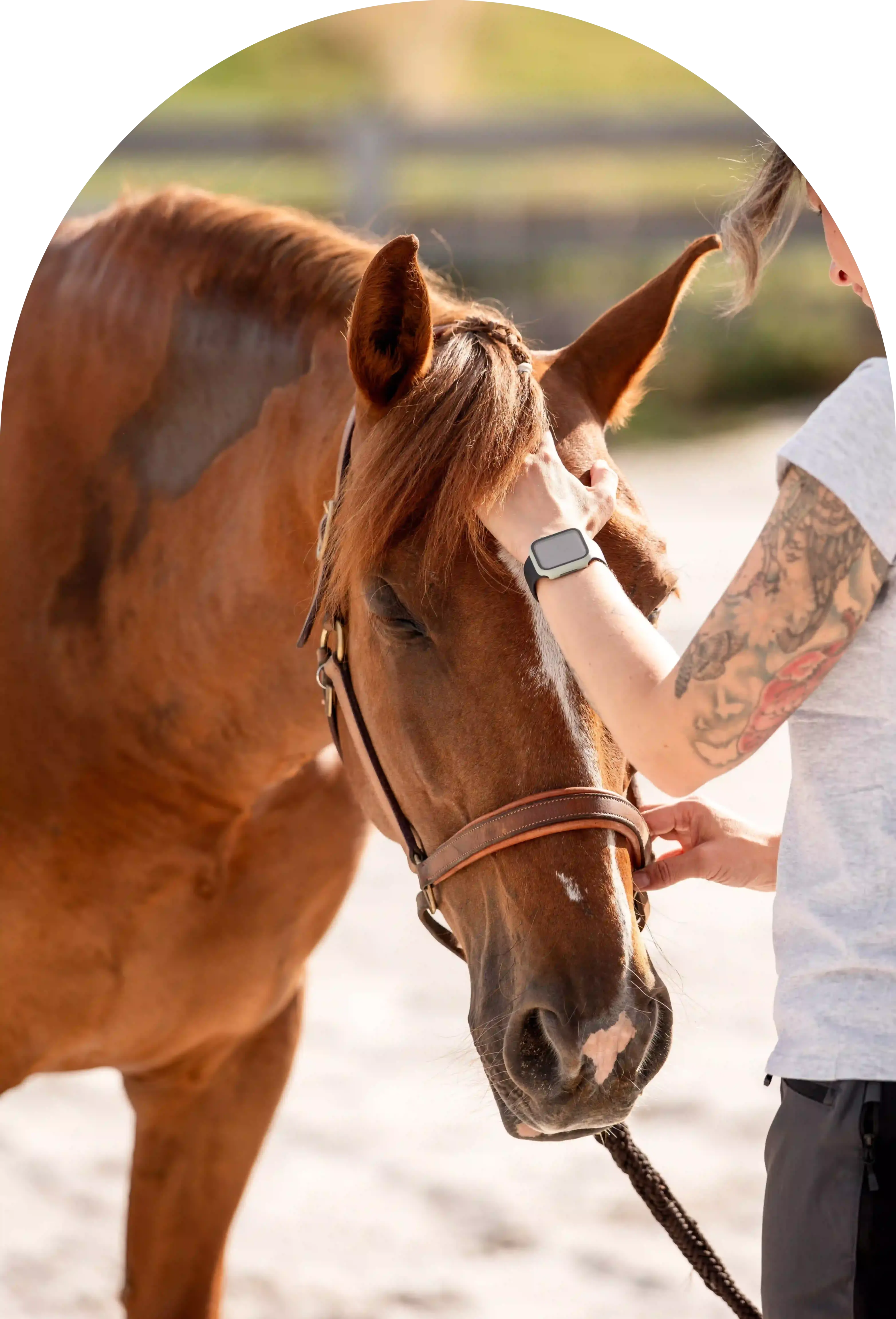 Osteopathie Behandlung