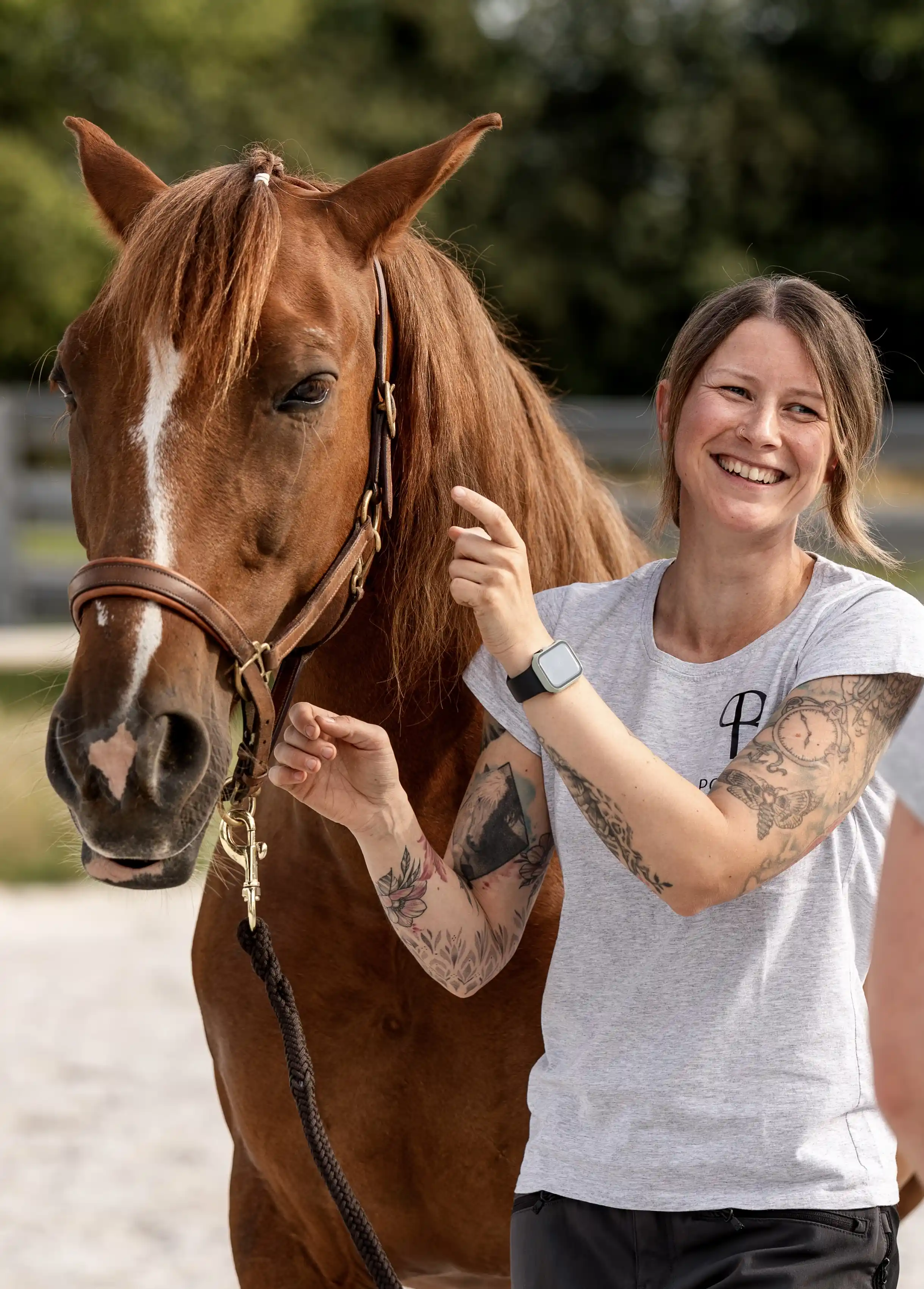 Willkommen bei Pony's Balance
